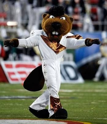 Pin by Elizabeth Ashenafe on College Football Mascots | Oregon state ...