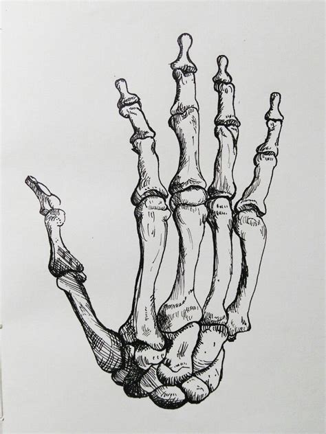 Hand Skull Drawing