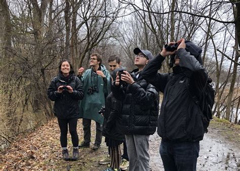 Celebrate The Great Backyard Bird Count Kelly Adirondack Center