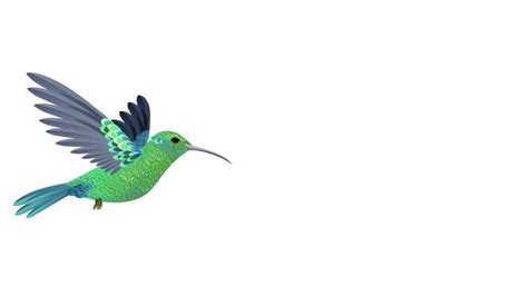 Bird Animation Stock Video Footage for Free Download