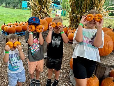 Fall Festival Great Scott Farms Mount Dora Florida