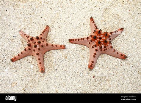 Belitung Islands In Indonesia Stock Photo Alamy