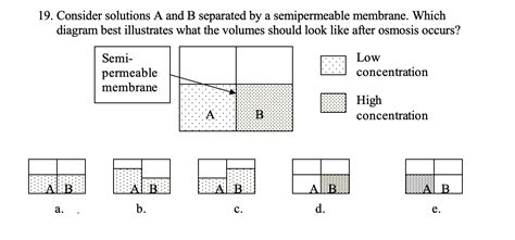 Answered 19 Consider Solutions A And B… Bartleby