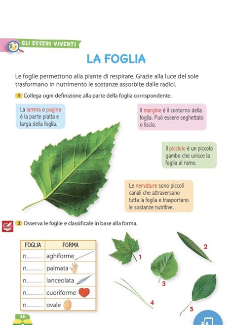 Pin Su SCIENZE IN SECONDA Scienza Natura Libri Di Scienze Lezioni