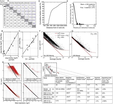 Droplet Barcoding For Single Cell Transcriptomics Applied To Embryonic