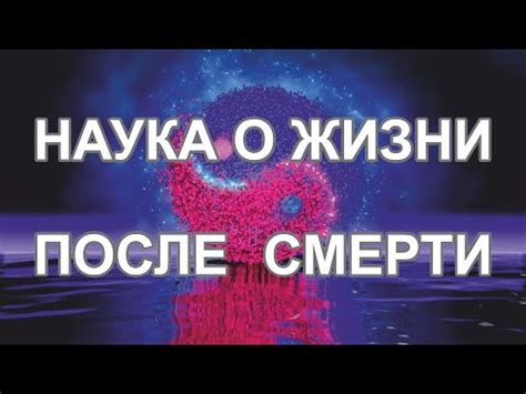 Жизнь после Смерти | Физики доказали существование загробной жизни ...