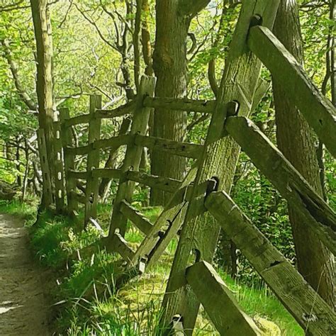 Ripponden Moor and Ryburn - Screen Yorkshire