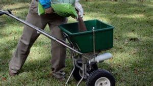 Lime for lawns {When and How to Lime Your Lawn}