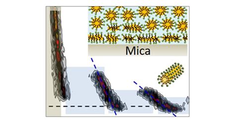 Effect Of Concentration On The Interfacial And Bulk Structure Of Ionic