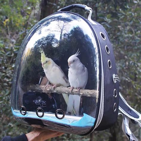 Bird Carrier Bag Parrot Backpack With Prech And Feeder Cups For