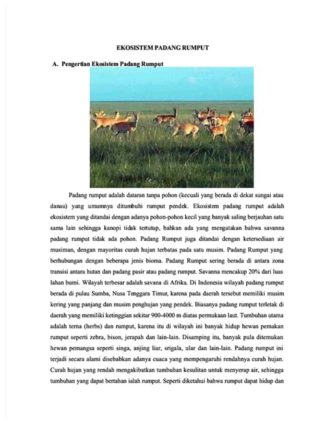 Ekosistem Padang Rumput Pdf Pdf