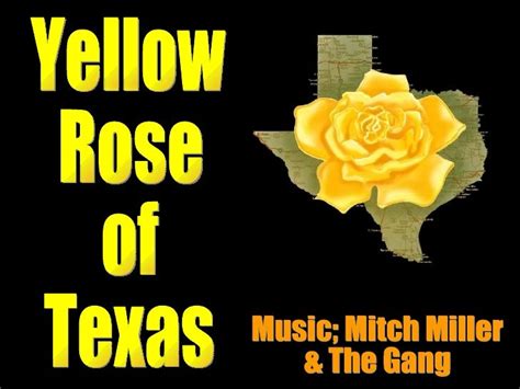 Yellow rose of texas