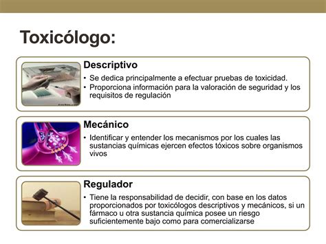 Conceptos Basicos De Toxicologia Iafjsr Ppt