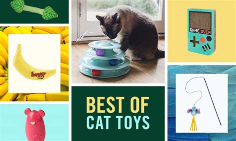 Best Cat Toys Of 2022 Plush Toys Interactive Toys And More Bechewy