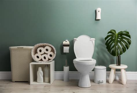 Comment bien désinfecter ses toilettes avec des solutions écologiques