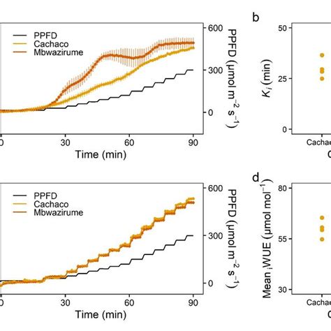 Morning Response Of Stomatal Conductance G S And Photosynthesis A