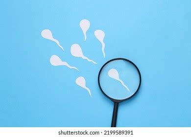 Sperm Magnifying Glass Concept Royalty-Free Images, Stock Photos ... 