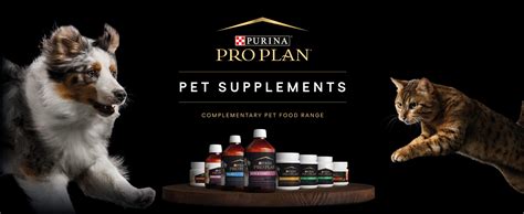 Purina launches PRO PLAN supplements in the UK - Veterinary Practice