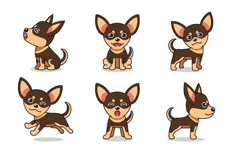 Conjunto De Dibujos Animados De Vector De Perro Chihuahua Vector Premium