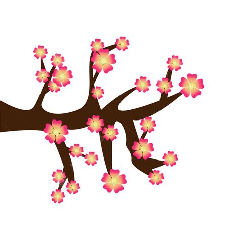 Hoa Mai Flower PNG, Vector, PSD, and Clipart With Transparent Background for Free Download | Pngtree