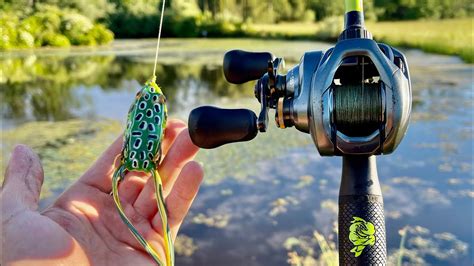 Topwater Frog Bass Fishing SMALL Farm Pond Loaded YouTube