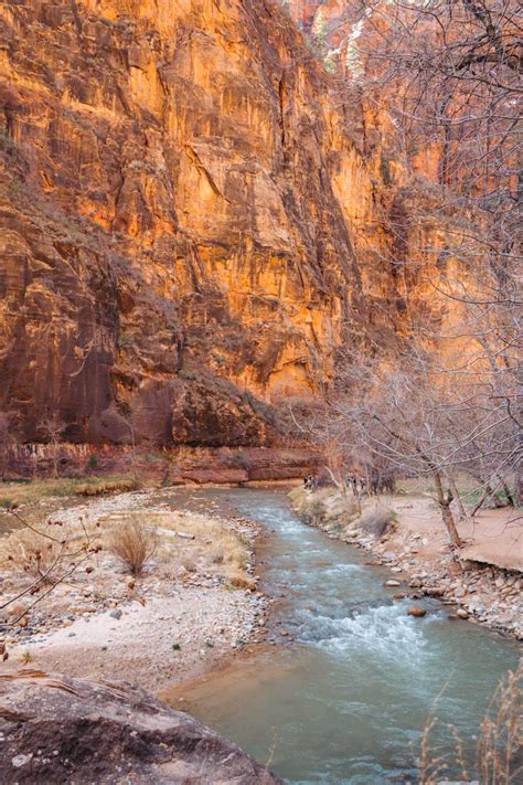 Zion Riverside Walk Trail: Gateway Hike to Zion Narrows (+Tips for ...