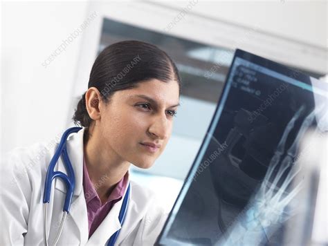 Doctor Studying An X Ray Stock Image F011 8824 Science Photo Library