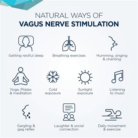 Autonomic Nervous System Dysfunction Parasympathetic Nervous System