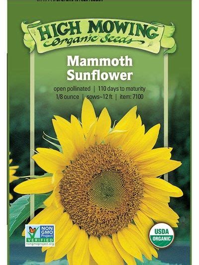 A Sunflower Seed Packet With The Label For High Mowing Organic Seeds