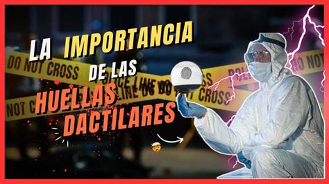 La Ciencia De Las Huellas Dactilares Youtube