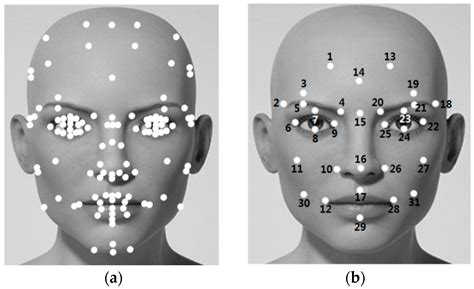 Symmetry Free Full Text Facial Feature Movements Caused By Various