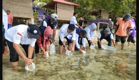 Usung Kesehatan Laut Dan Perikanan Budidaya Berkelanjutan Kkp Terus