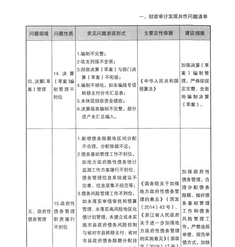 10大领域294个审计发现共性问题清单文档之家