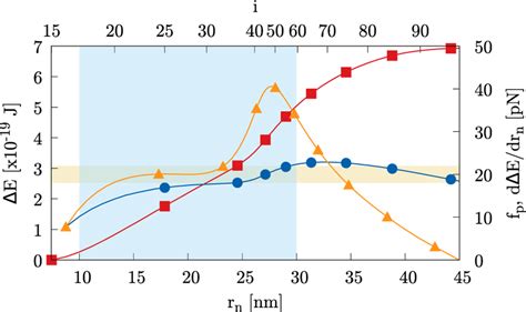 Proteins And Constriction Forces Red Curve With Squares The Energy