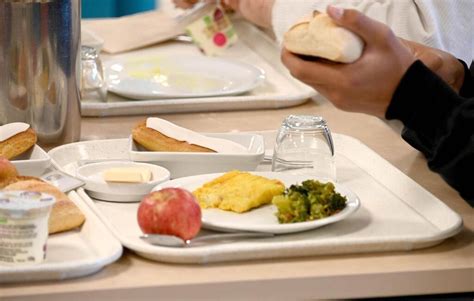 Lyon Lenfant Autiste Exclu De La Cantine De Son école Va Pouvoir La