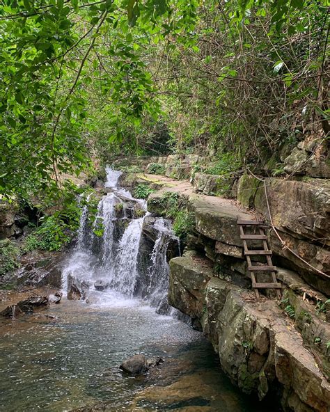 Phong Nha Botanic Garden And Thien Duong Paradise Cave Tour