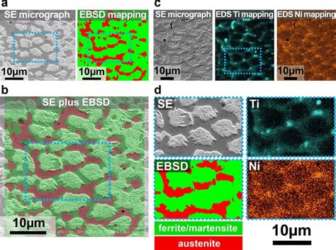 Microstructure Characterization High Resolution EBSD Together With