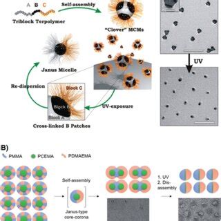 A Schematic Of Janus Micelles As Multifunctional Nanoprobes For