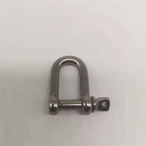 Mm Pcs Stainless Steel D Type Dee Shackle Grandado