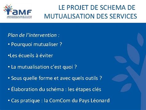 Le Projet De Schema De Mutualisation Des Services