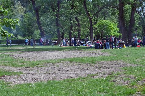 Slobodna Dalmacija Zagrepčanima prijeti najopasnija životinja na