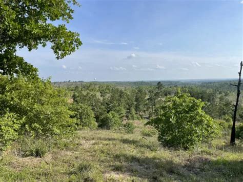 Best Hikes and Trails in Bastrop State Park | AllTrails