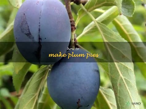 Deliciously Sweet A Step By Step Guide To Making Plum Pies Shuncy