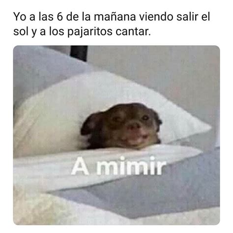 Yo a las 6 de la mañana viendo salir el sol y a los pajaritos cantar A