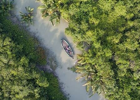 Check Out Everything About Sundarban Mangrove Forest