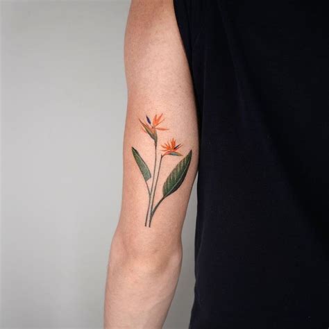 Studiobysol Eq On Instagram Bird Of Paradise Flower Eqtattoo