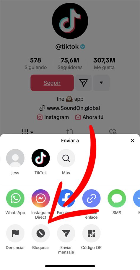 Cómo Saber Si Me Bloquearon Mi Cuenta De Tiktok