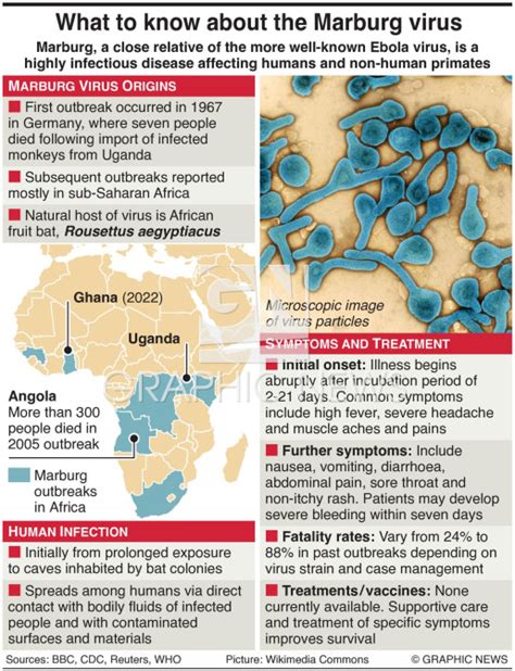 Health Marburg Virus Factbox Infographic