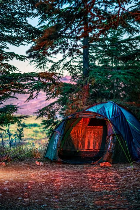 Camping in the Forest | Stock image | Colourbox