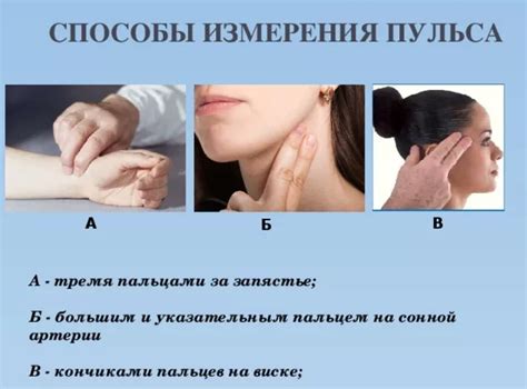 Сколько ударов сердца в минуту: норма у взрослых